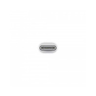 USB-C to Lightning Adapter