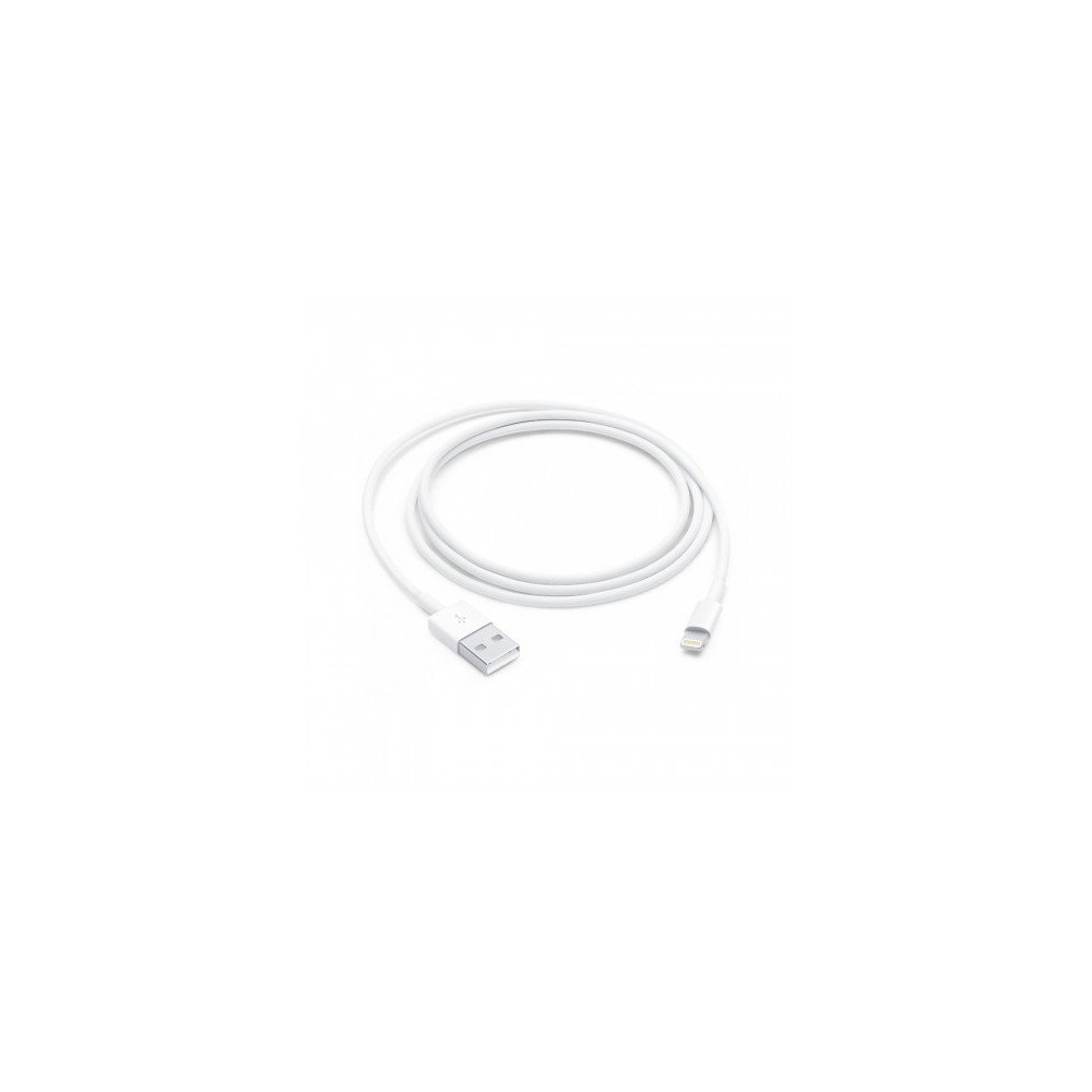 Cavo Lightning Apple USB (1M)