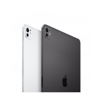 13-inch iPad Pro WiFi + Cellular 512GB (M4) con Vetro Standard - Nero siderale
