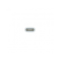 Adattatore da USB-C a Apple Pencil