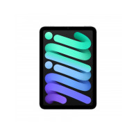 iPad mini Wi-Fi + Cellular 512GB - Grigio Siderale