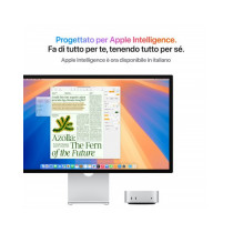 Mac mini - Chip Apple M4 Pro con CPU 14-core, GPU 20-core, Neural Engine 16-core - RAM 64GB di memoria unificata - HD SSD 1TB - 