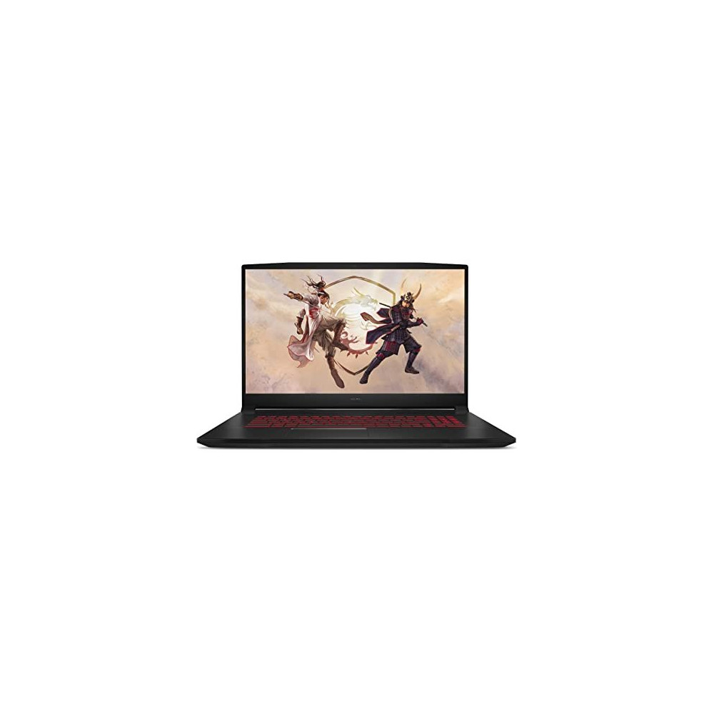 MSI NB GAMING 17" KATANA, i7-13620H, 16GB, 1TB SSD, RTX 4050 6GB, WIN 11 HOME, B13VEK-232IT